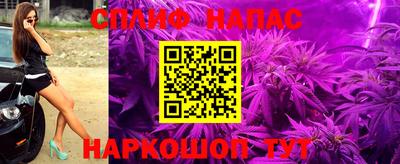 стаф Кинель